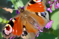 Butterfly-Digitales_Gemaelde_Dr_S_Hermann