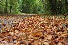 Herbstweg