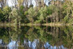 Waldsee III