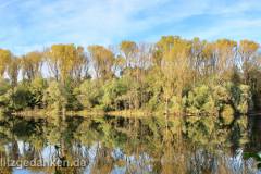 Waldsee I