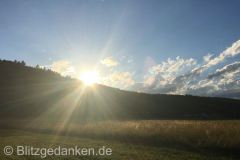 Kornfeld in der Sonne