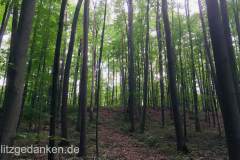 Wald